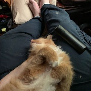 Meet your Posher, Finniard